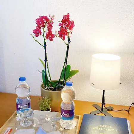 Wesselenyi Hotel 3*