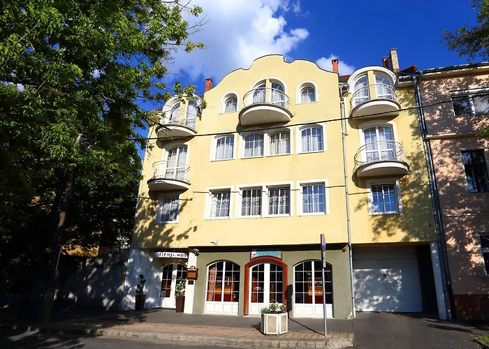 Wesselenyi Hotel 3*