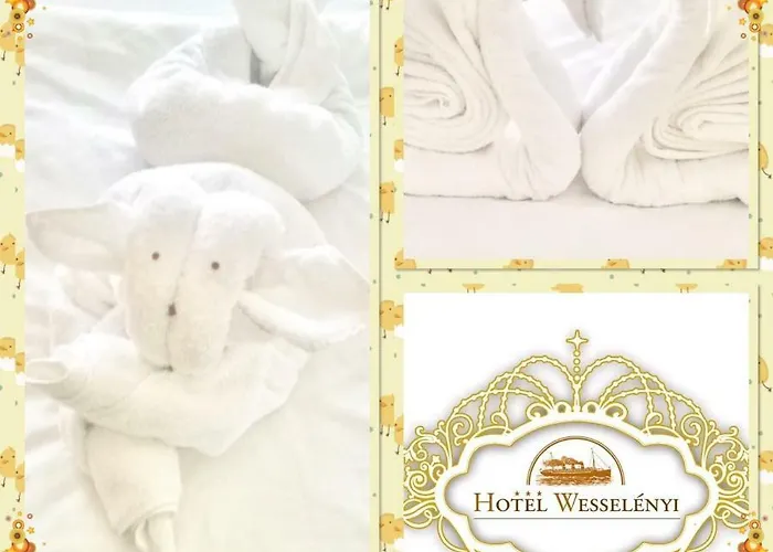 Wesselenyi Otel 3*